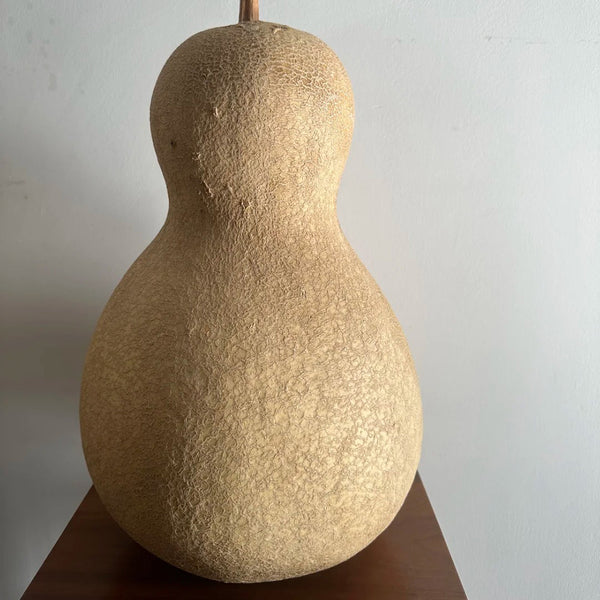 Xinjiang Bottle Gourd, 5 Seeds