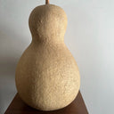 Xinjiang Bottle Gourd, 5 Seeds