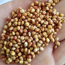 Disease-resistant No.4 Red Sorghum Hybrid Seeds, 500g