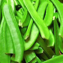 Thick-fleshed Sword Bean Seeds, 5 Seeds Per Bag