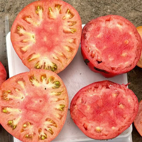 Classic Beefsteak Tomato,  10 Seeds
