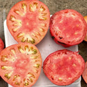 Classic Beefsteak Tomato,  10 Seeds