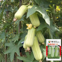 'Xiangyubai' Luffa Seeds, 10g