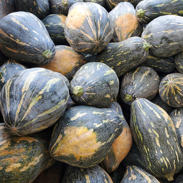 Sweet Taro Flavor Pumpkin Seeds, 10g