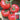 Maofen 802 Tomato, 100 Seeds