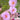 Hezhichun Pink Moss-Rose Purslane Seeds, 1g