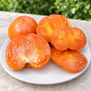 417 Golden Cat Tomato, 5 Seeds