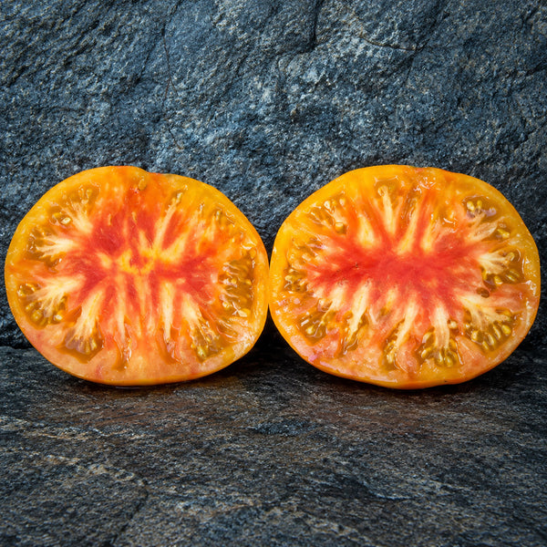 95 Dwarf Big Orange Stripe Tomato, 5 Seeds