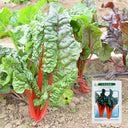Red Swiss Chard Seeds, 10g