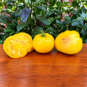 324 Minusinsk Mango Tomato, 5 Seeds