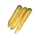 Dutch Yellowstone Carrot Seeds, 1g