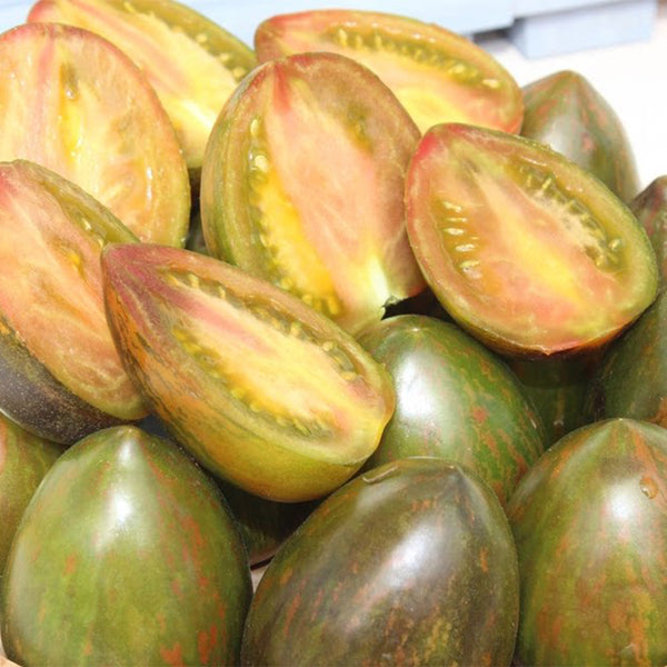 Giovanni Tomato, 5 Seeds