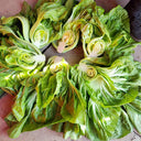 'Jiemei' No.11 Wrapped-head Mustard Seeds, 10g