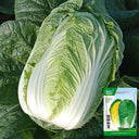 'Jiaoyan Qiubao' Chinese Cabbage Seeds, 10g