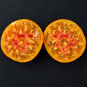 131 Dwarf Russian Swirl Tomato, 5 Seeds