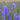 Hezhichun Spiked Speedwell Seeds, 1g