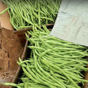 Stringless Snap Bean King Seeds, 5 × 10g Bags