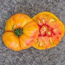 207 Stanley Tomato, 5 Seeds