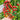 W1366 Sweet Bean Cherry Tomato, 100 Seeds