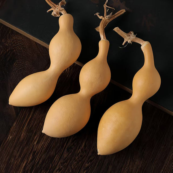 Ant Belly Gourd, 10 Seeds