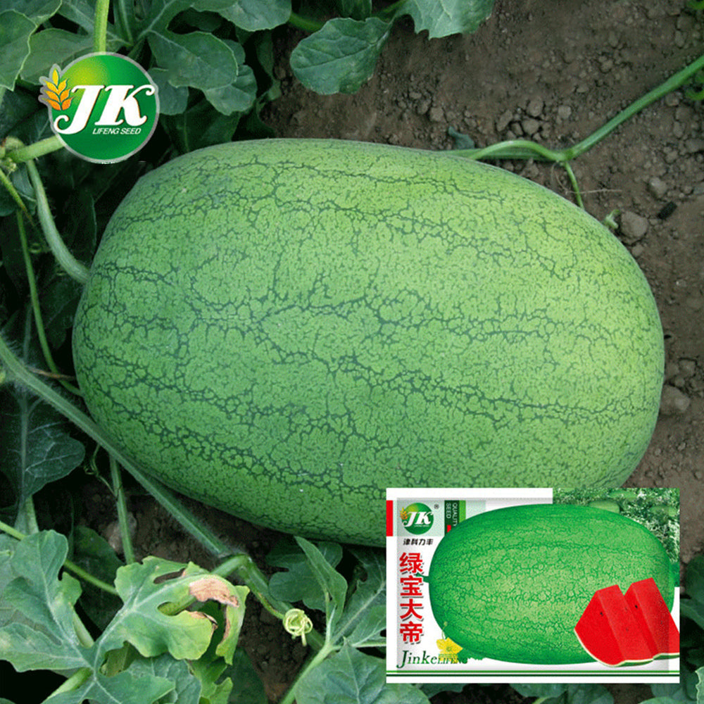 'Green Emperor' Watermelon Seeds