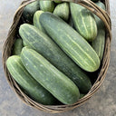 'Bixiu' F1 Fruit Cucumber, 30 Seeds