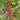 389 Black Strawberry Tomato, 5 Seeds