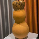 Small Lotus-head Gourd, 10 Seeds