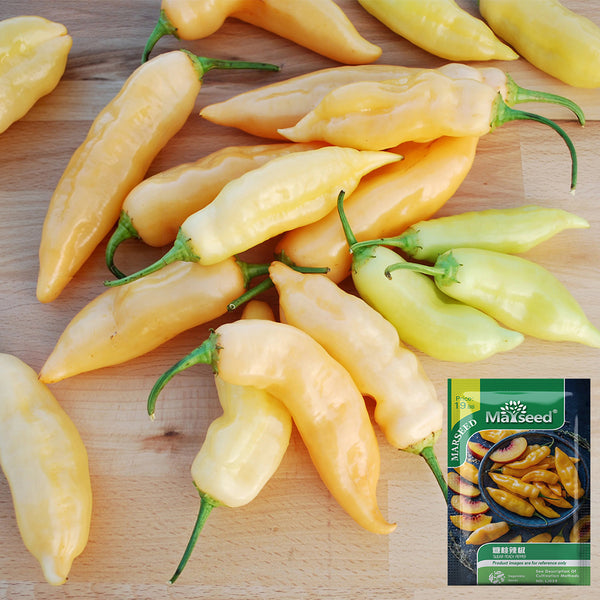Sugar Peach Pepper, 5~10 Seeds