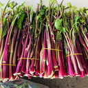 'Bright Red 65' Flowering Stalk Seeds, 5g