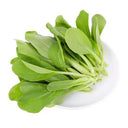 Tender Baby Bok Choy Seeds, 50g