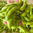 Jiaoda No.18 Edamame, 100 Seeds