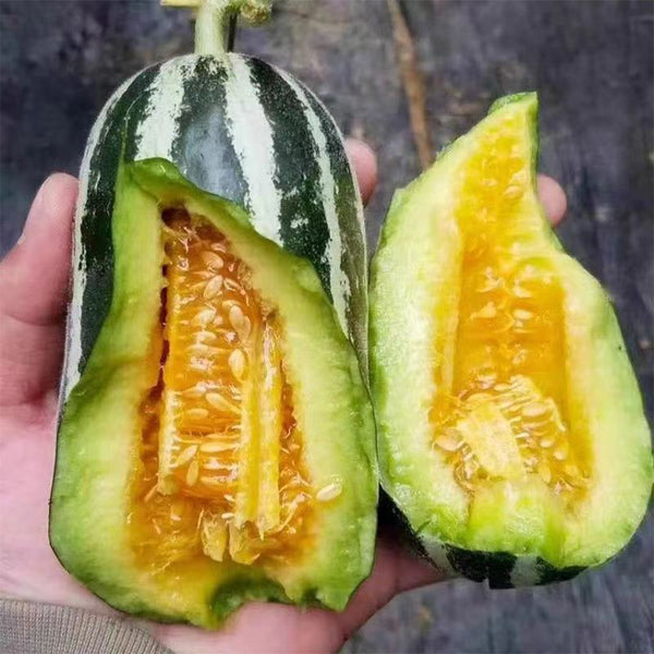 Extremely Sweet Melon Seeds
