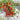 544 Minos Finger Tomato, 5 Seeds