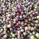 Pearl Ornamental Pepper Seeds, 200 Seeds