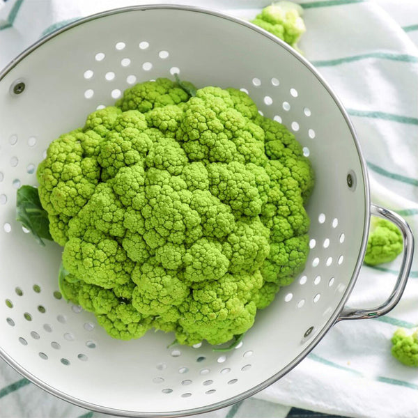 Green Cauliflower, 10 Seeds