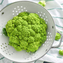 Green Cauliflower, 10 Seeds