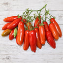440 Jelly Bean Long Tomato, 5 Seeds