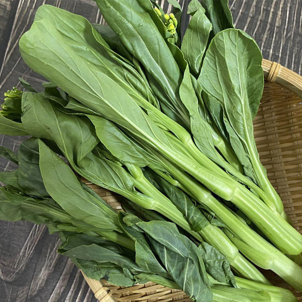 Green Tender Sweet Choy Sum Seeds, 20g