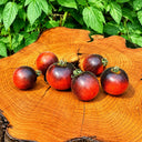 149 Woolly Kate Red Tomato, 5 Seeds