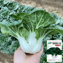 Fresh Sweet Bok Choy Seeds, 10g