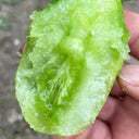 Kiwi Tomato, 100 Seeds
