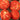 Hokkaido Fruit Tomato, 10 Seeds