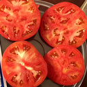 Hokkaido Fruit Tomato, 10 Seeds