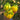 614 Tlacolula White Tomato, 5 Seeds
