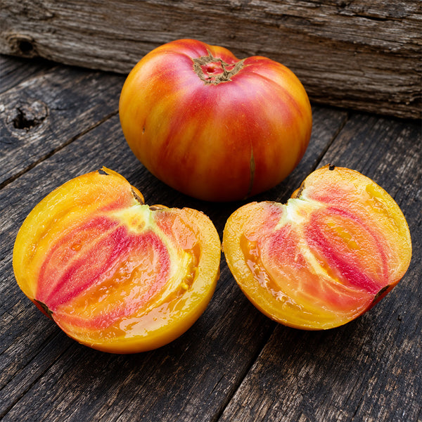 533 Honey Salute Tomato, 5 Seeds