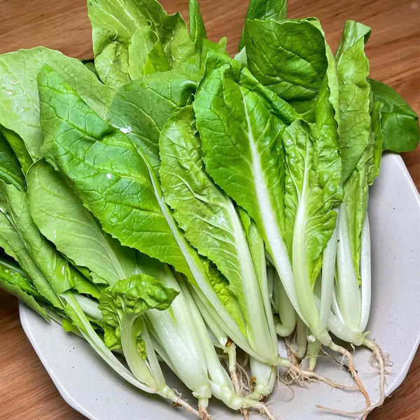 White-Stemmed Bok Choy Seeds, 10g