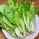 White-Stemmed Bok Choy Seeds, 10g
