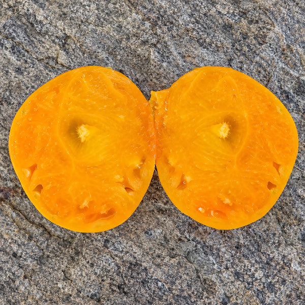 360 Rosalie's Early Orange Tomato, 5 Seeds