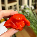 Bishop's Hat Pepper, 50 Seeds